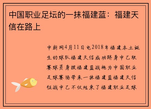 中国职业足坛的一抹福建蓝：福建天信在路上